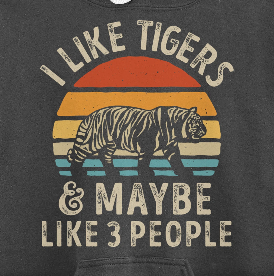 I Like Tigers And Maybe Like 3 People Tiger Lover Retro Men Pullover Hoodie