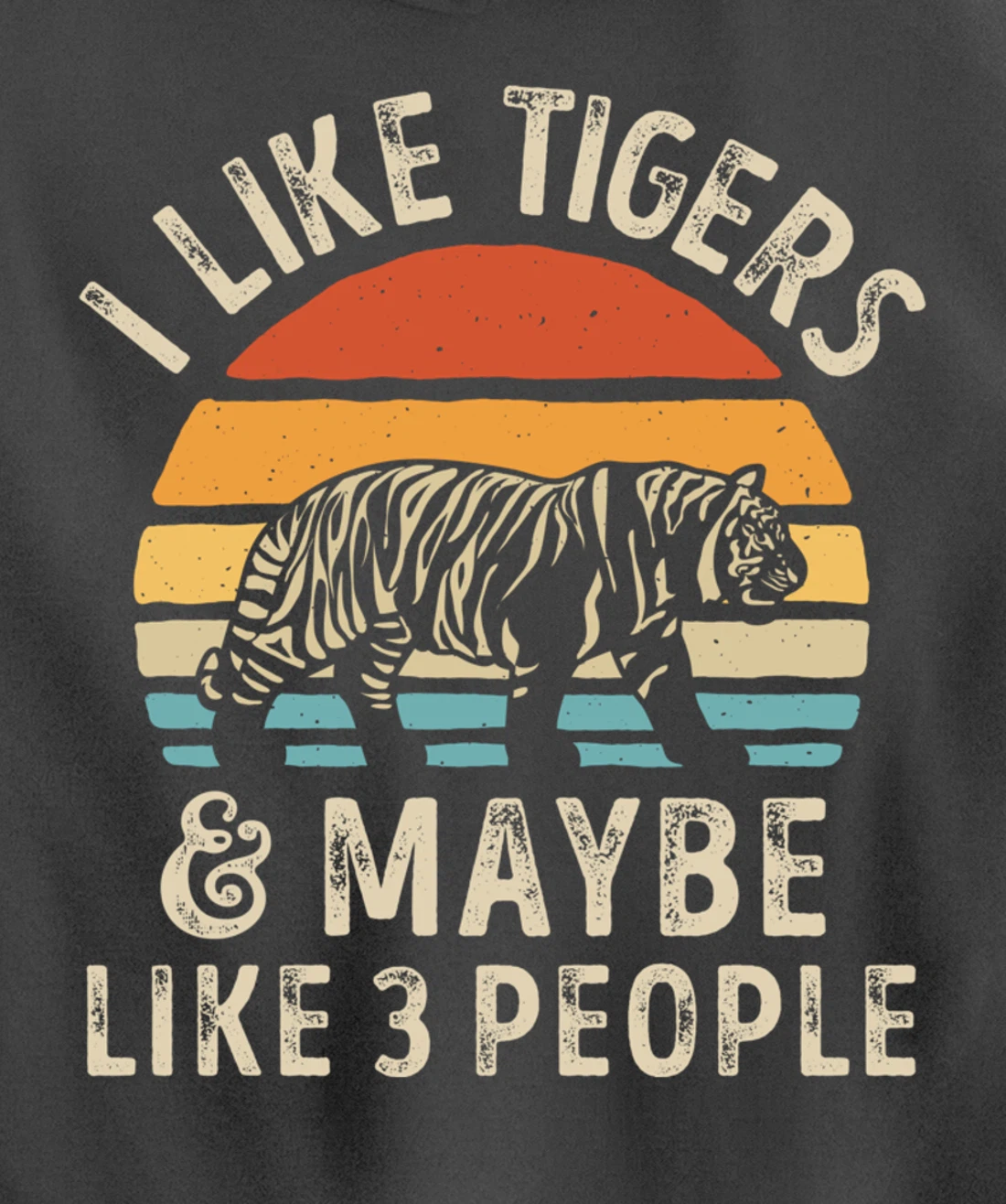 I Like Tigers And Maybe Like 3 People Tiger Lover Retro Men Pullover Hoodie