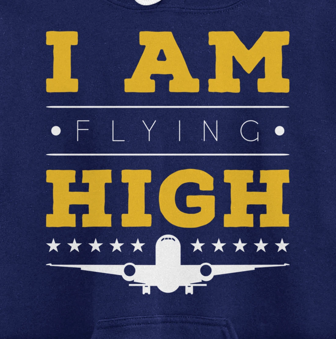 Funny I am Flying High Sarcastic Airplane Lover and Pilot Pullover Hoodie