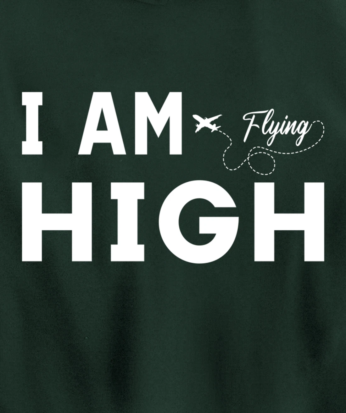 Funny I am Flying High Sarcastic Airplane Lover and Pilot Pullover Hoodie