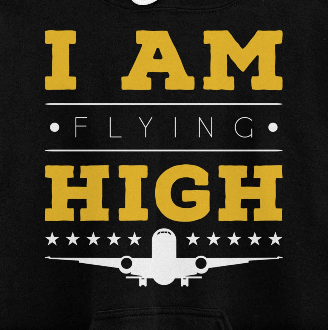Funny I am Flying High Sarcastic Airplane Lover and Pilot Pullover Hoodie