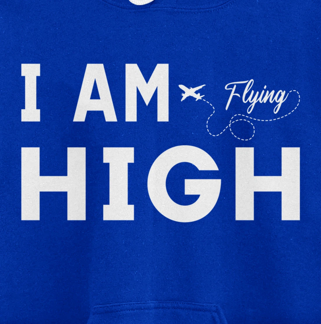 Funny I am Flying High Sarcastic Airplane Lover and Pilot Pullover Hoodie