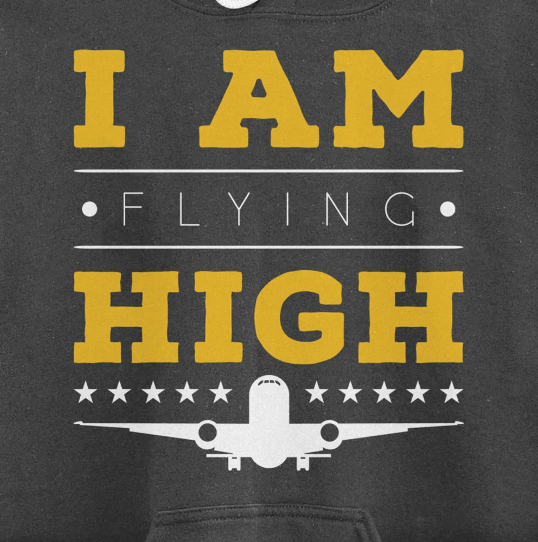 Funny I am Flying High Sarcastic Airplane Lover and Pilot Pullover Hoodie
