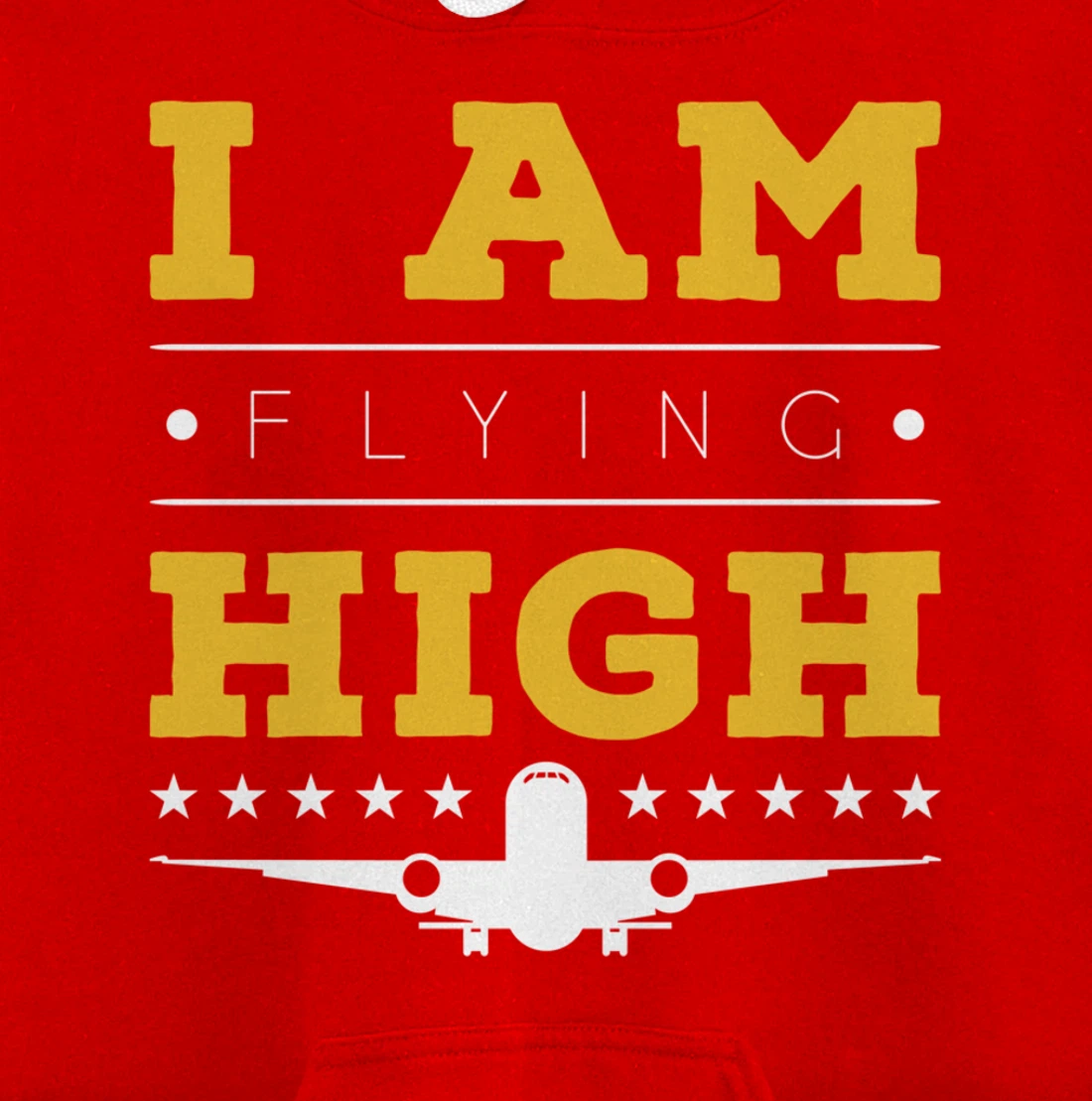 Funny I am Flying High Sarcastic Airplane Lover and Pilot Pullover Hoodie