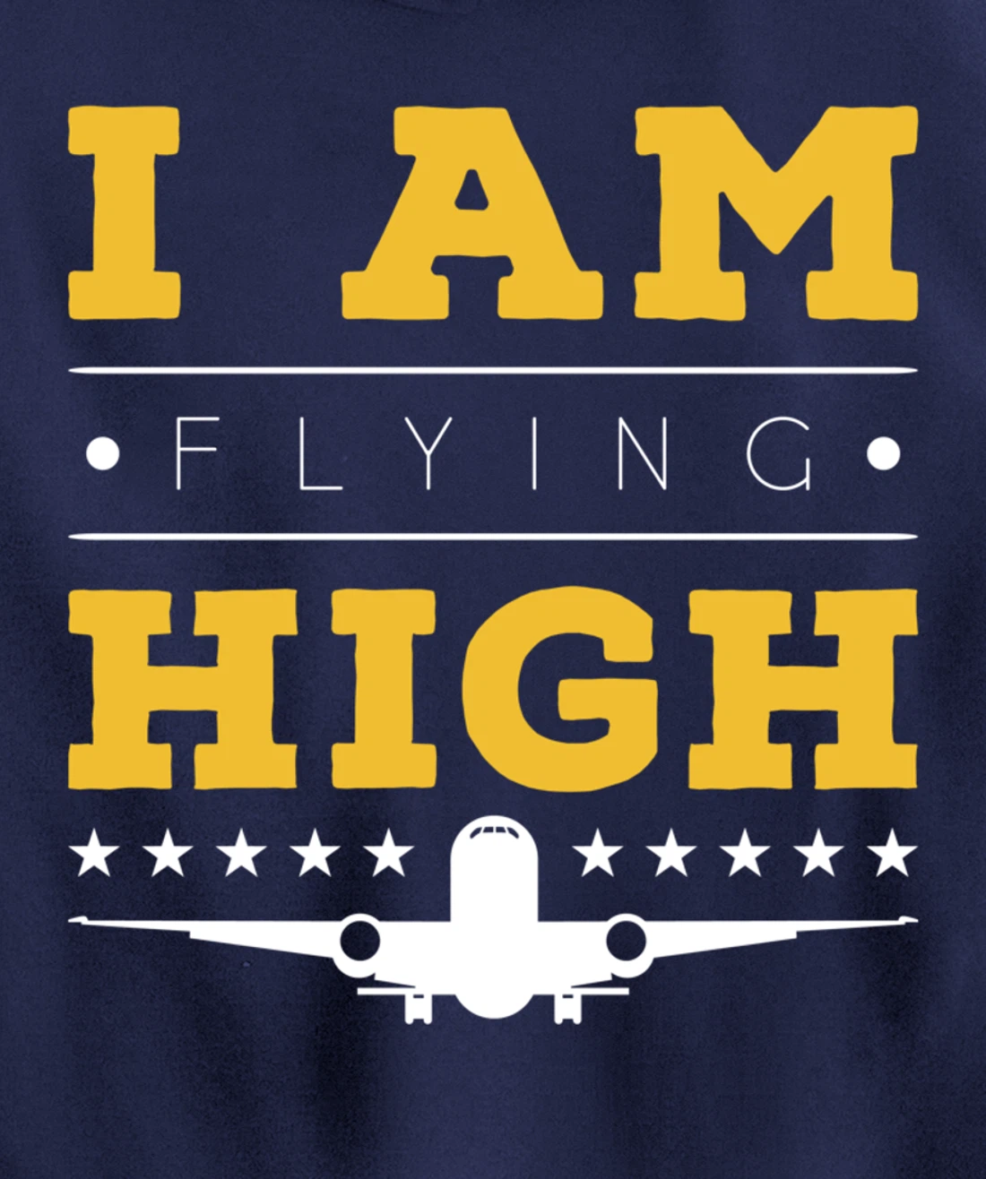 Funny I am Flying High Sarcastic Airplane Lover and Pilot Pullover Hoodie