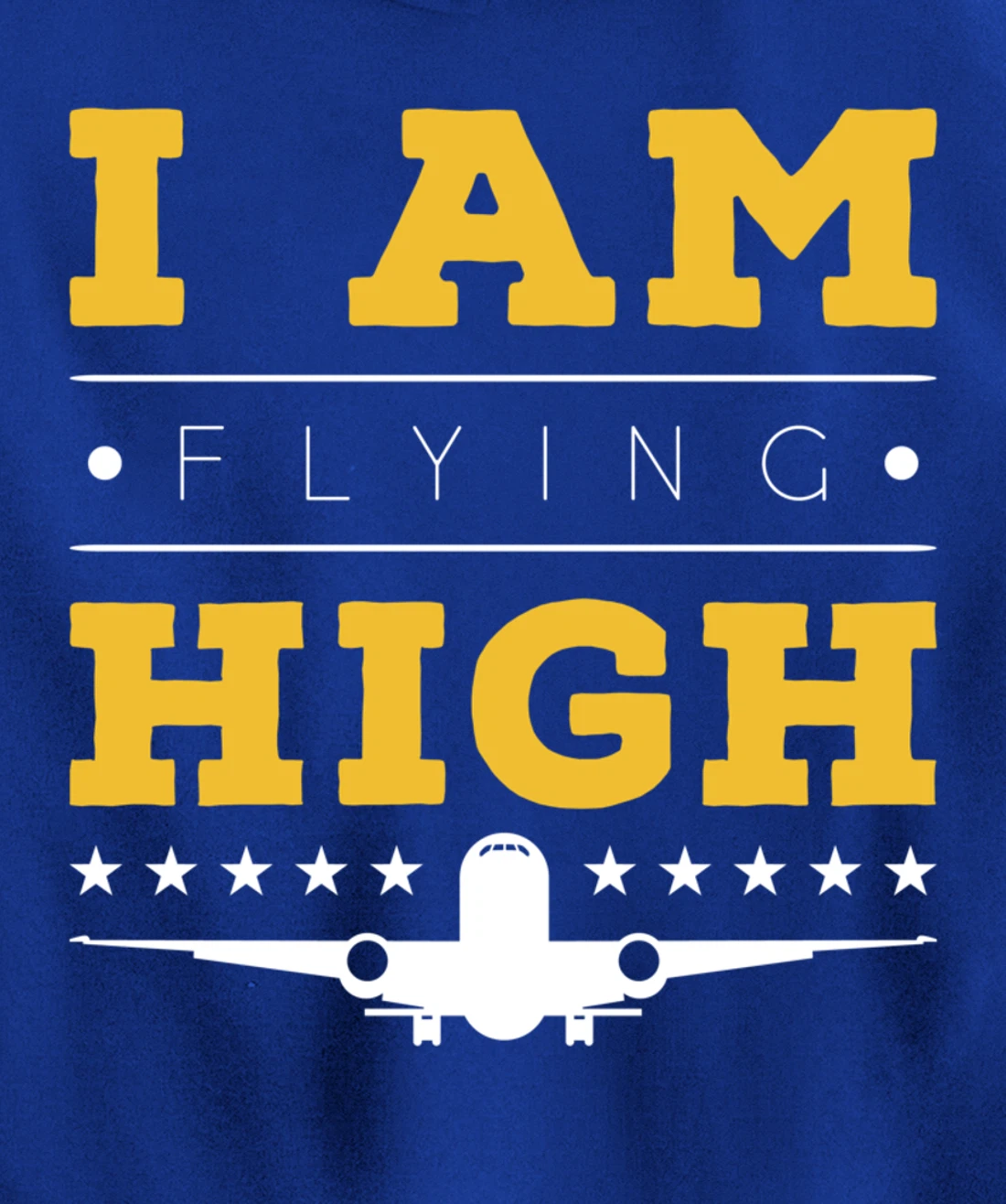 Funny I am Flying High Sarcastic Airplane Lover and Pilot Pullover Hoodie