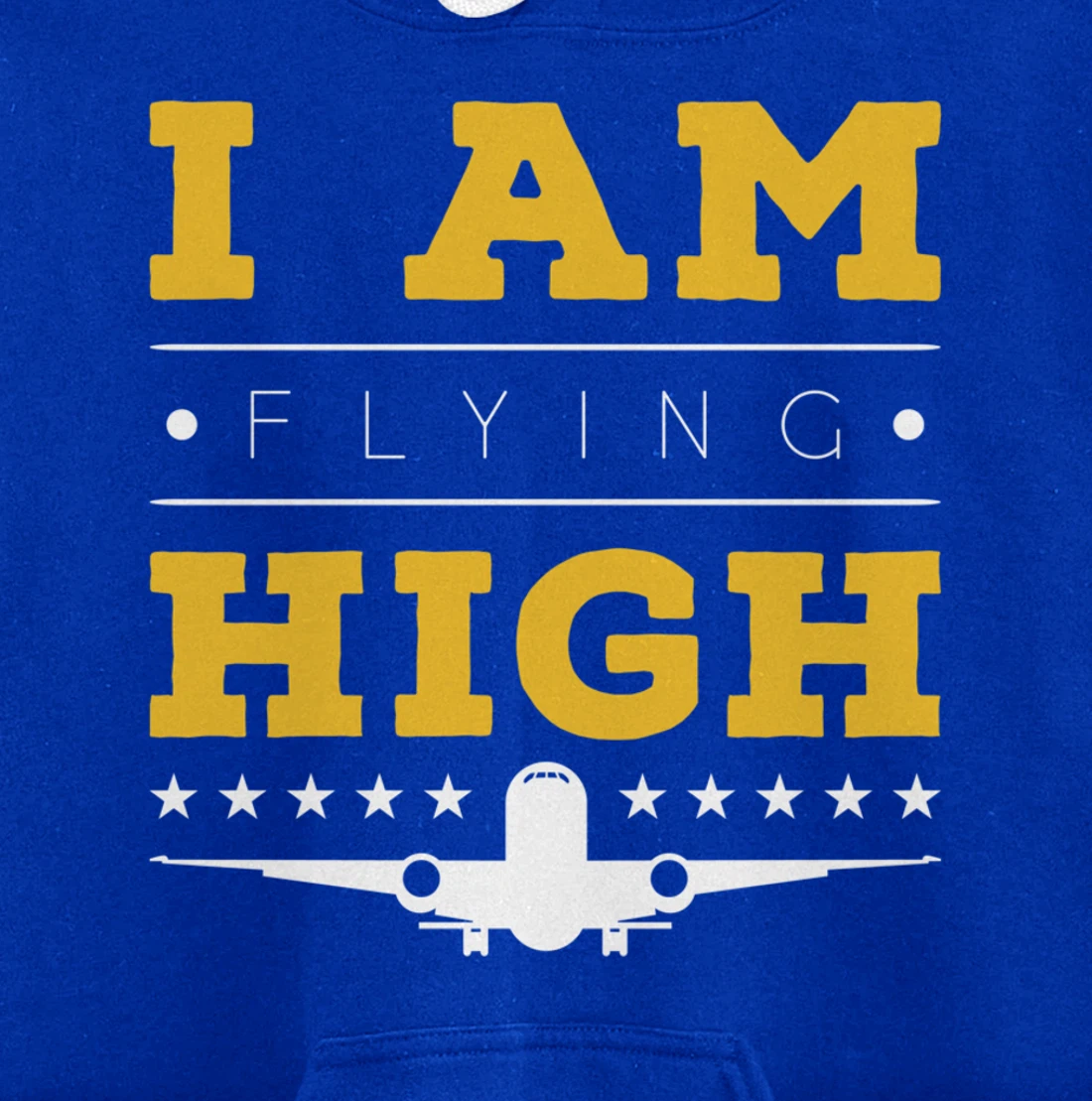 Funny I am Flying High Sarcastic Airplane Lover and Pilot Pullover Hoodie