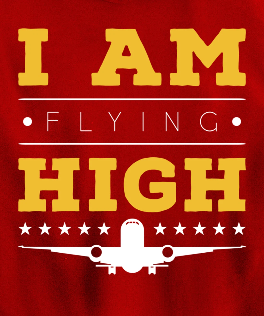 Funny I am Flying High Sarcastic Airplane Lover and Pilot Pullover Hoodie