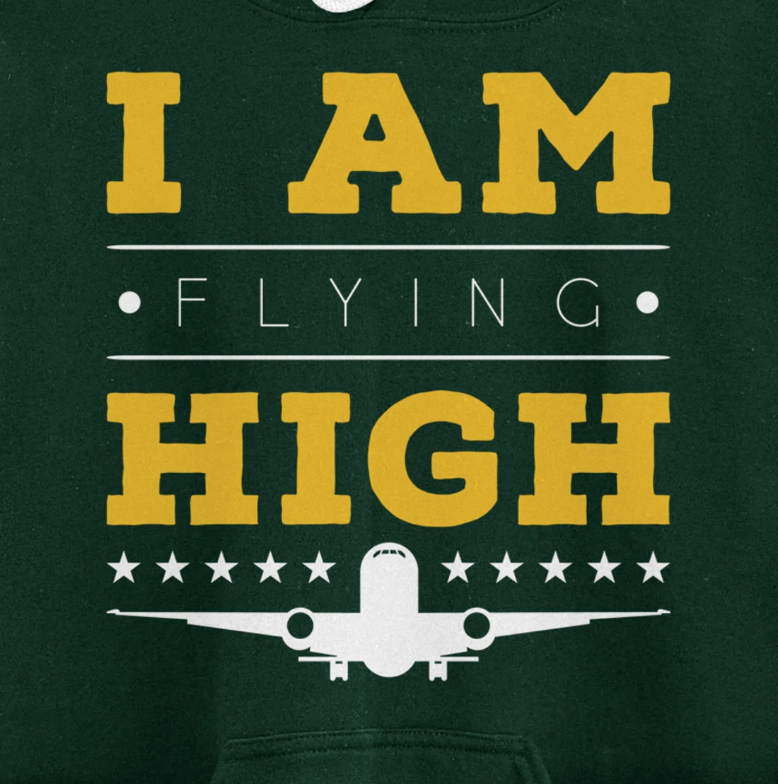 Funny I am Flying High Sarcastic Airplane Lover and Pilot Pullover Hoodie