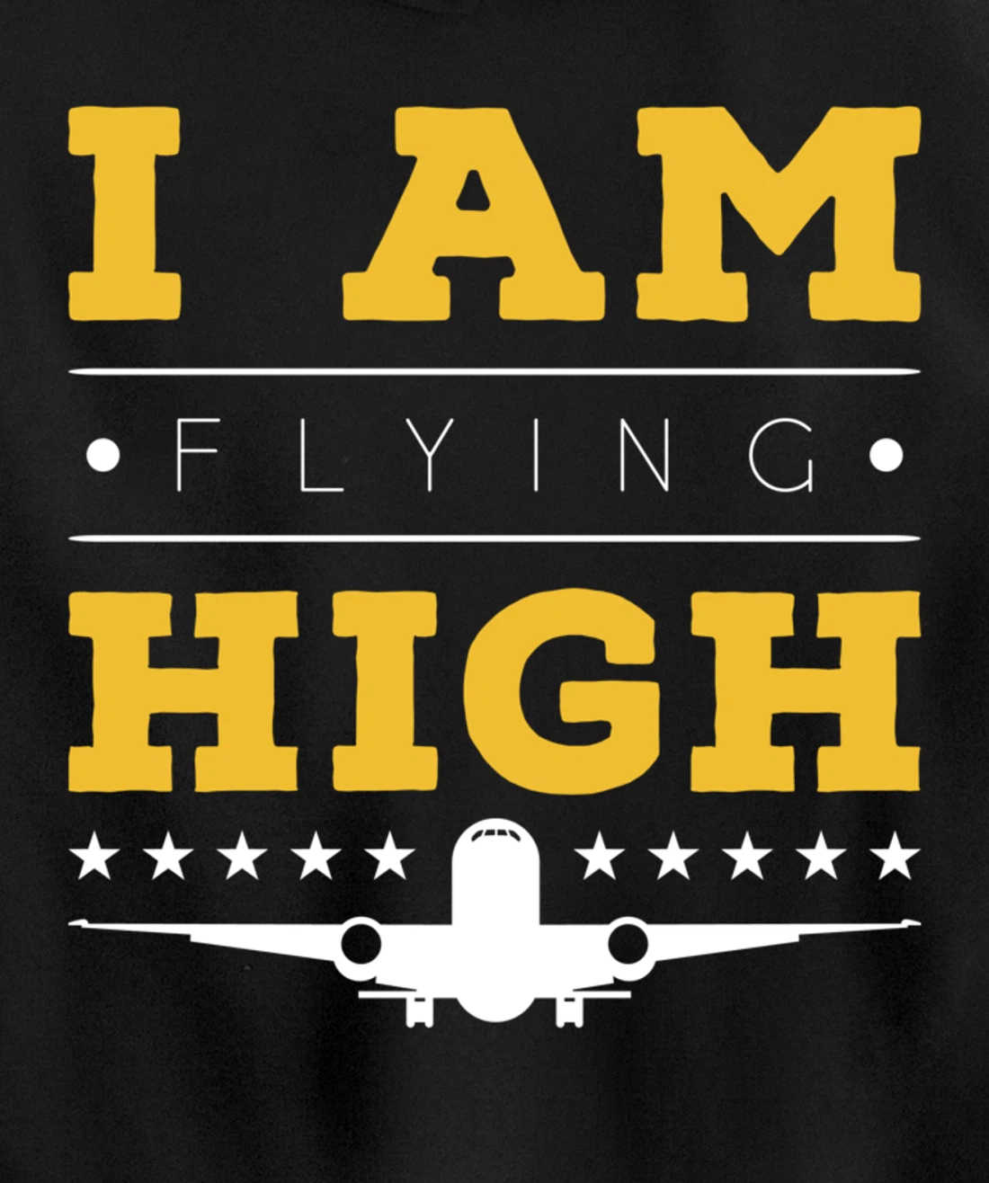 Funny I am Flying High Sarcastic Airplane Lover and Pilot Pullover Hoodie