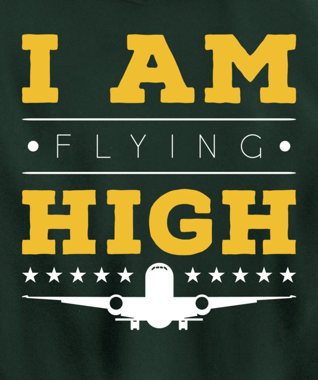 Funny I am Flying High Sarcastic Airplane Lover and Pilot Pullover Hoodie