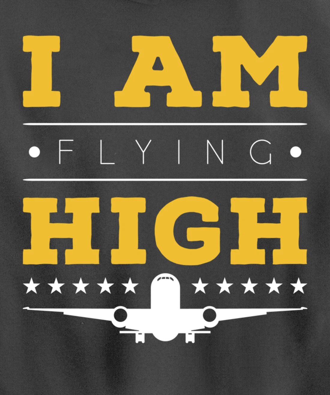 Funny I am Flying High Sarcastic Airplane Lover and Pilot Pullover Hoodie