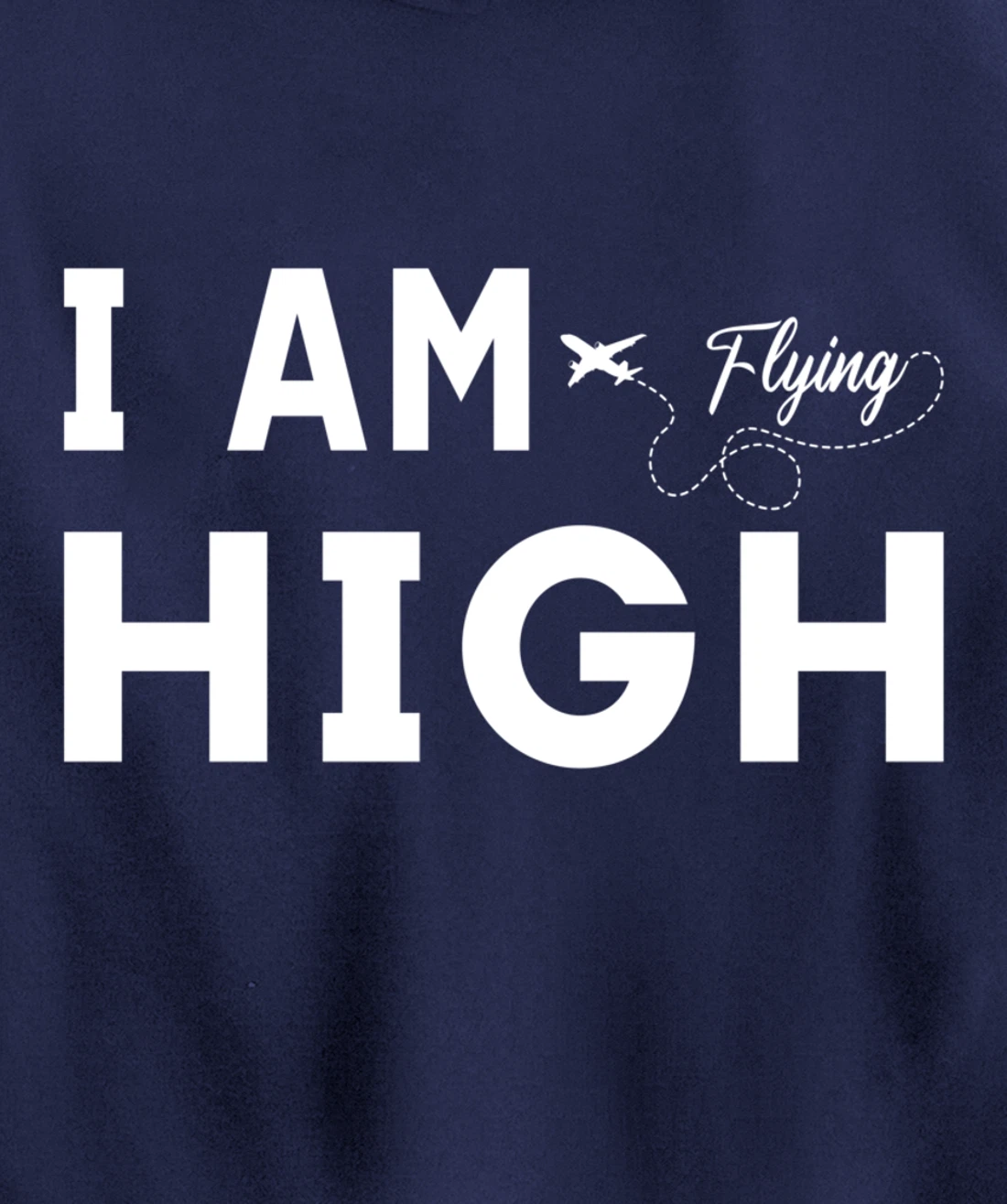 Funny I am Flying High Sarcastic Airplane Lover and Pilot Pullover Hoodie