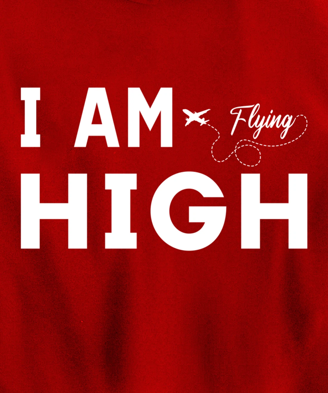 Funny I am Flying High Sarcastic Airplane Lover and Pilot Pullover Hoodie