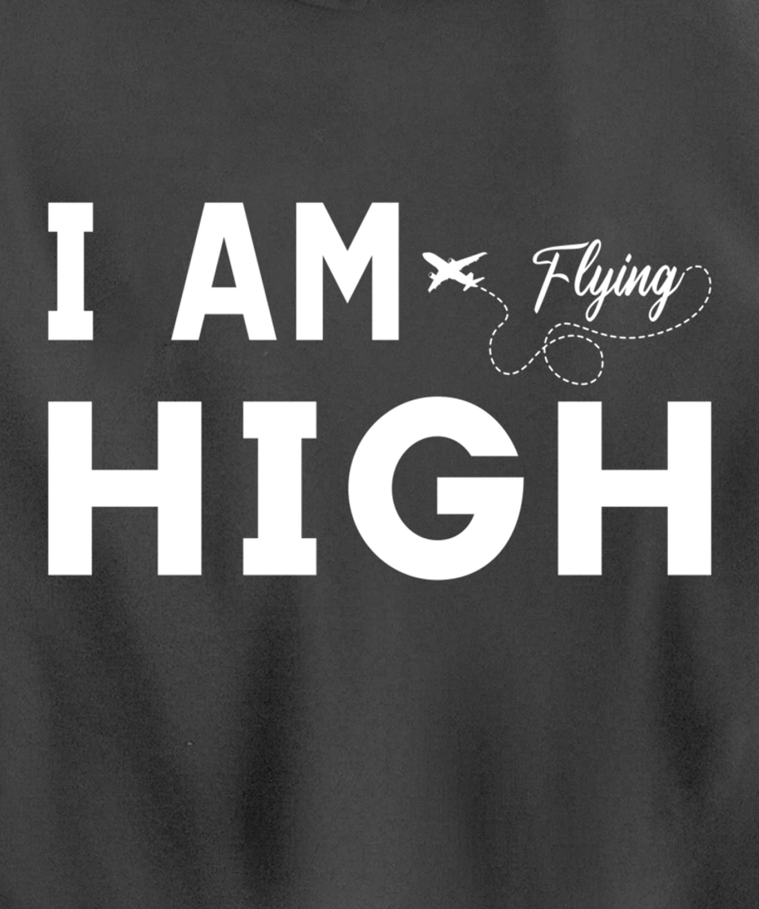 Funny I am Flying High Sarcastic Airplane Lover and Pilot Pullover Hoodie