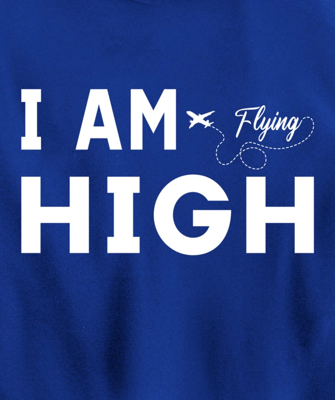 Funny I am Flying High Sarcastic Airplane Lover and Pilot Pullover Hoodie