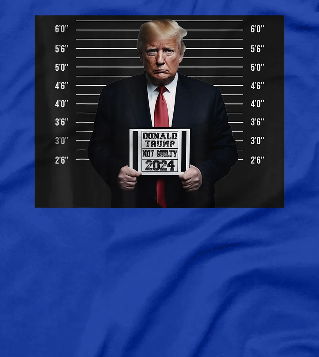 Donald Trump 2024 Not Guilty Trump Election T-Shirt