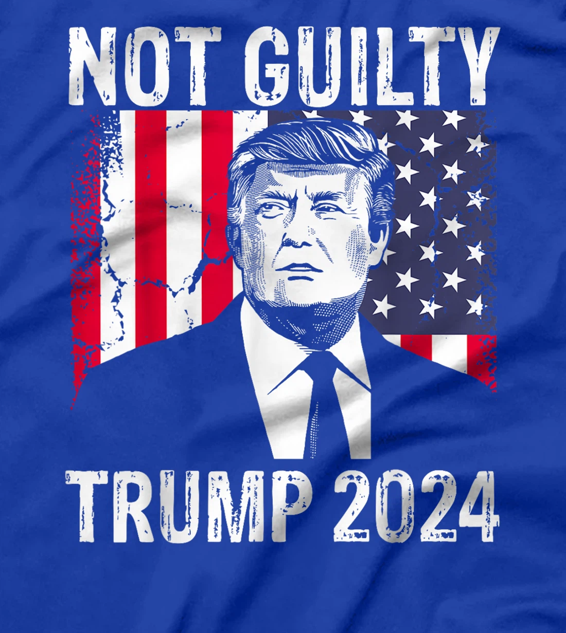 Trump Not Guilty 2024 Free Trump T-Shirt