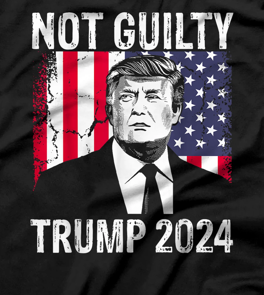 Trump Not Guilty 2024 Free Trump T-Shirt