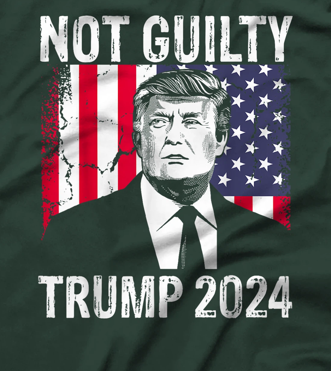 Trump Not Guilty 2024 Free Trump T-Shirt