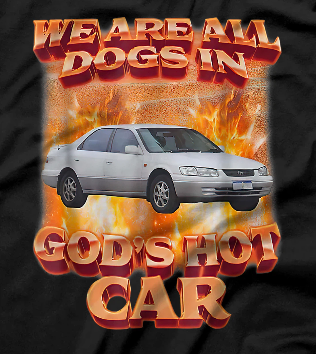 We Are All Dogs In God's Hot Car Funny T-Shirt
