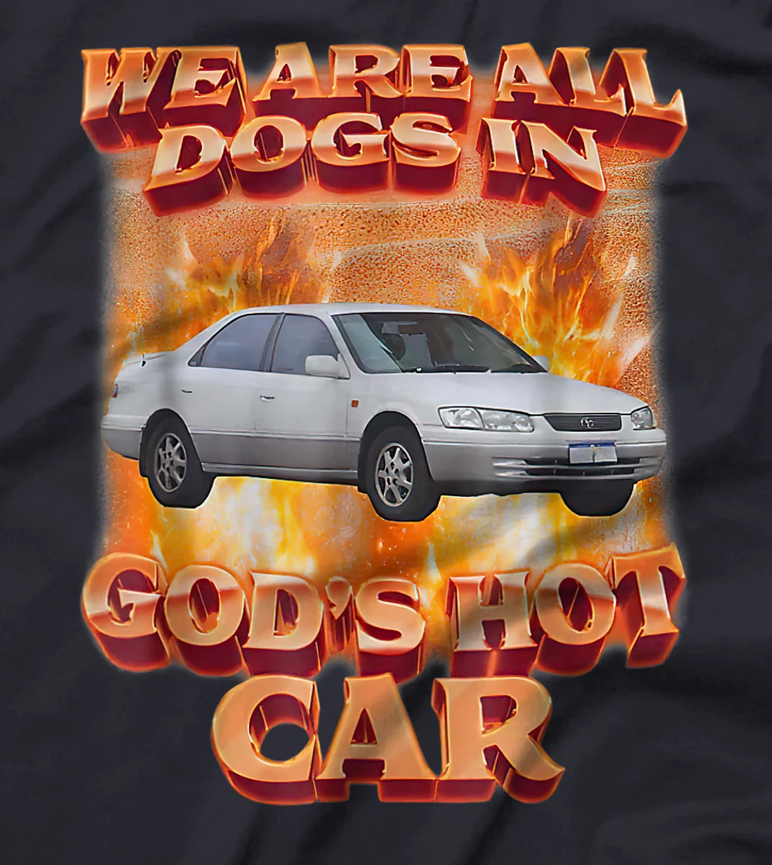 We Are All Dogs In God's Hot Car Funny T-Shirt
