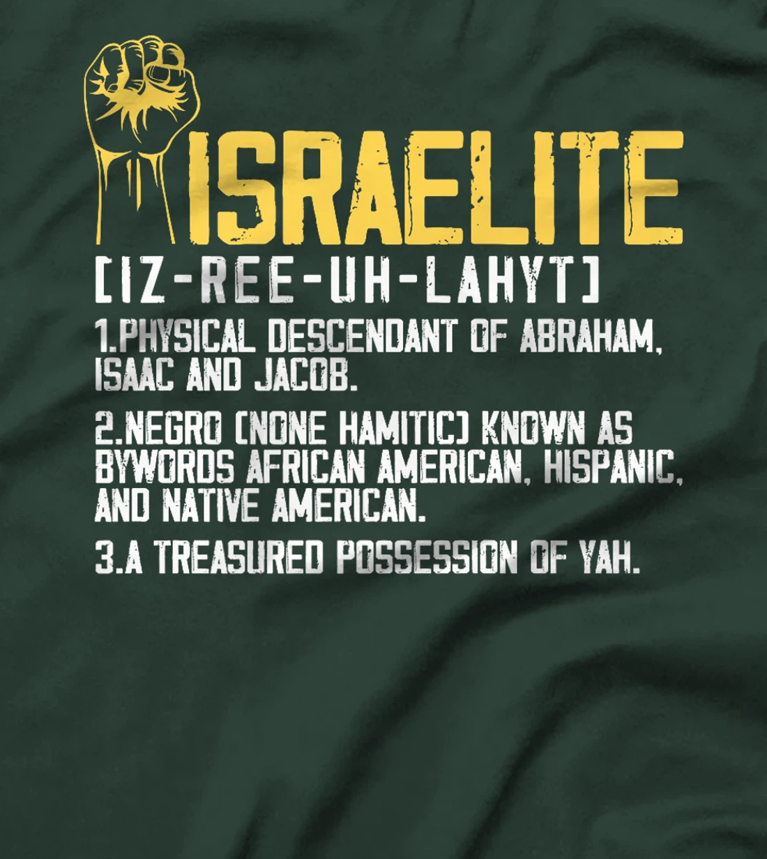Israelite Meaning Premium T-Shirt
