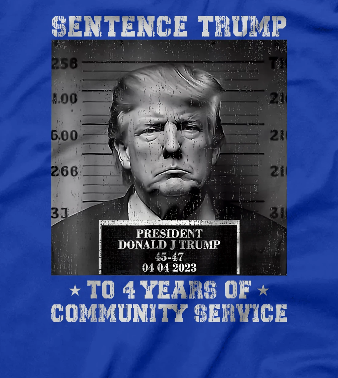 Sentence Trump to 4 Years of Community Service Mug Shot T-Shirt