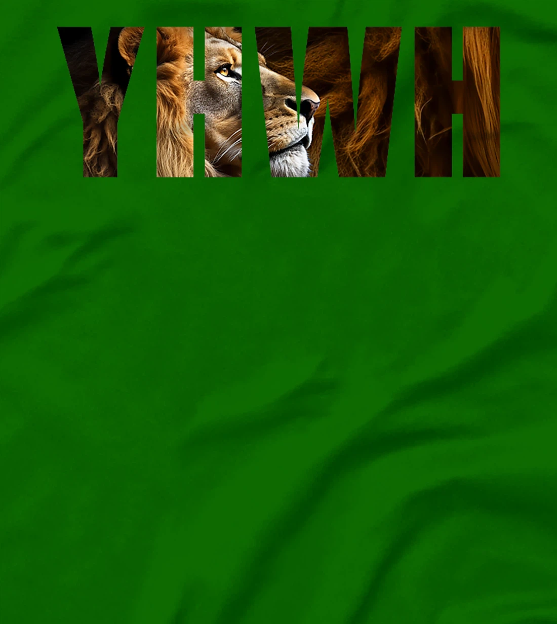 YHWH Lion of Judah: Tetragrammaton Hebrew Name of GOD Yahweh Premium T-Shirt