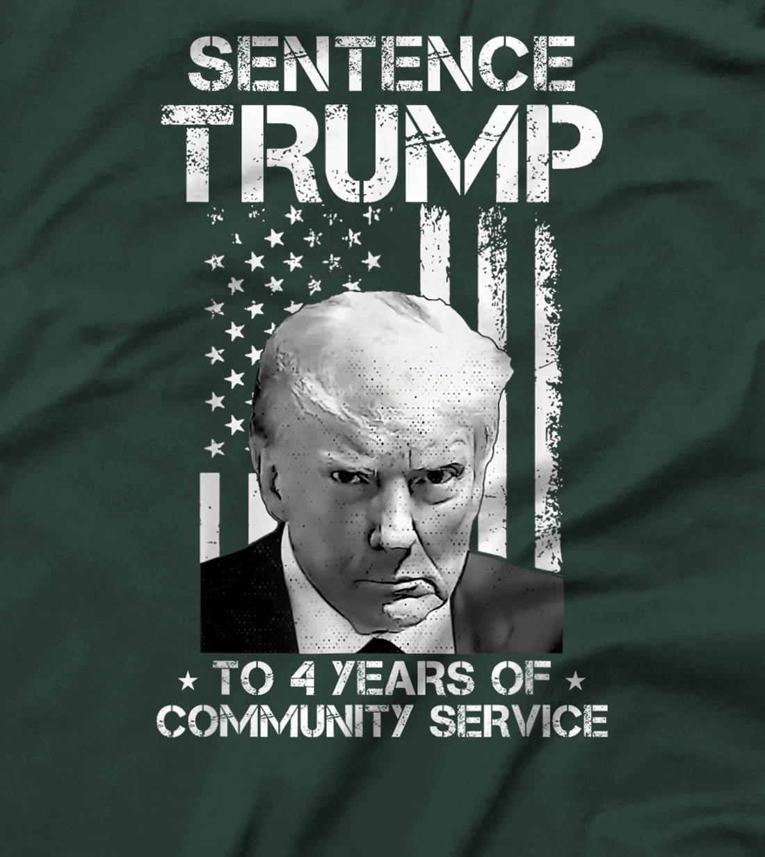 Sentence Trump to 4 Years of Community Service America Flag T-Shirt