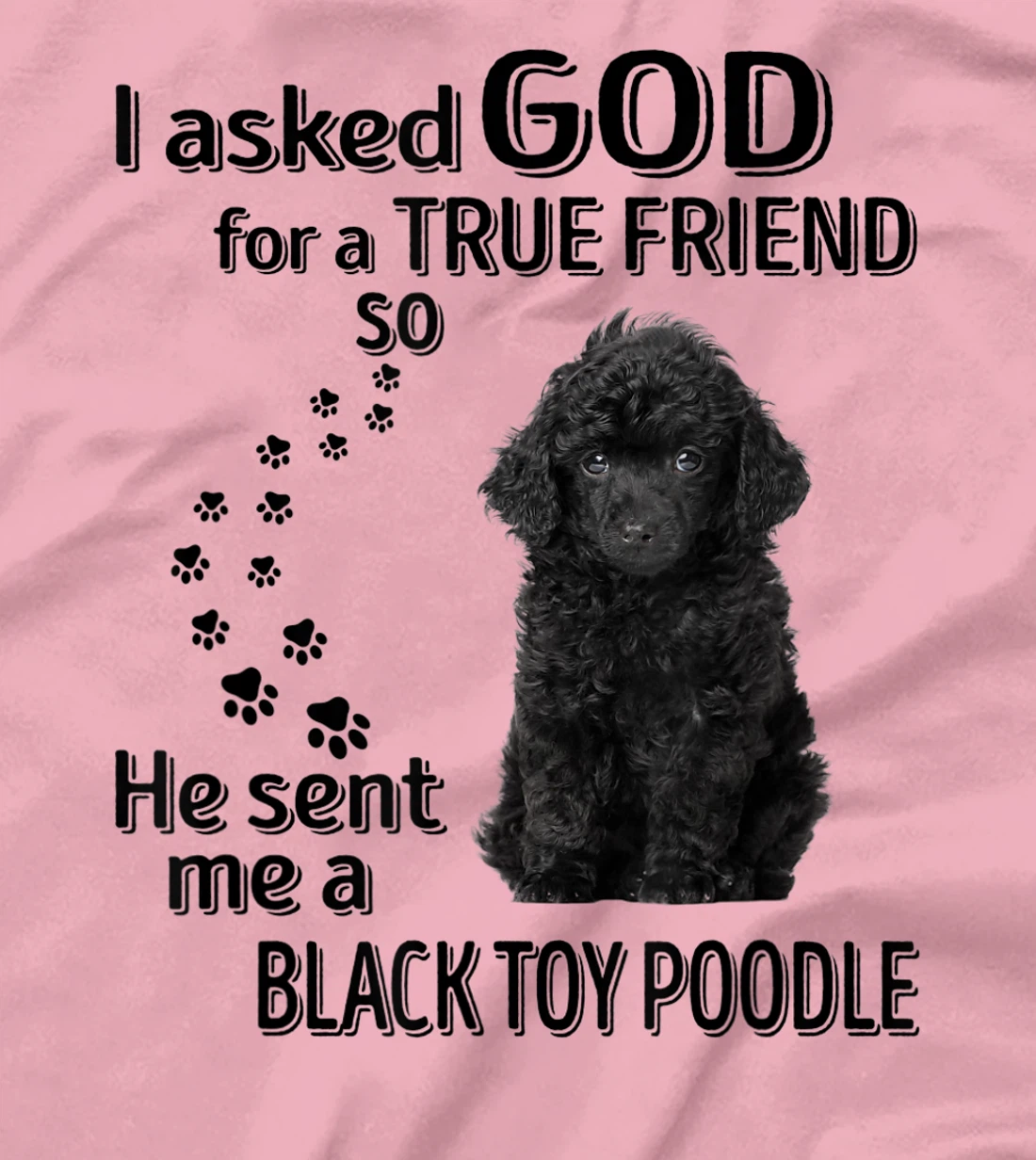 I asked god for a true friend so he sent me a Toy Poodle T-Shirt