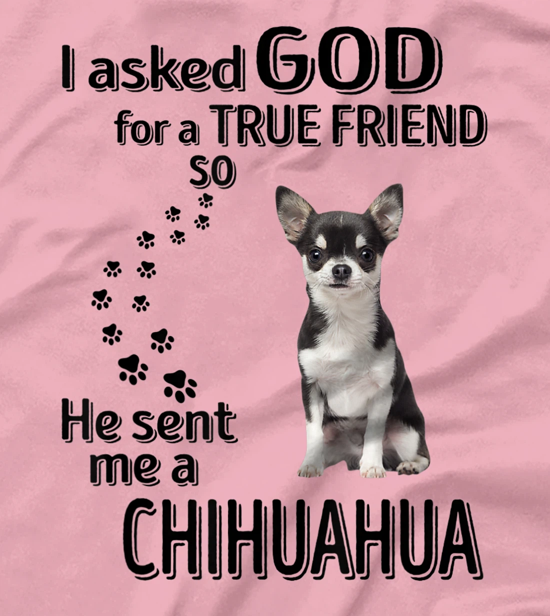 I asked god for a true friend so he sent me a Chihuahua T-Shirt