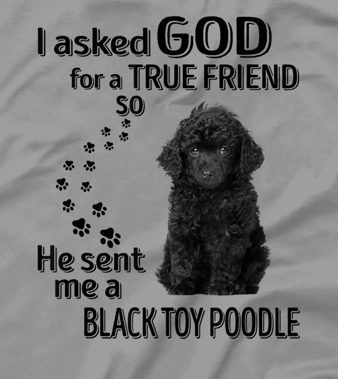 I asked god for a true friend so he sent me a Toy Poodle T-Shirt