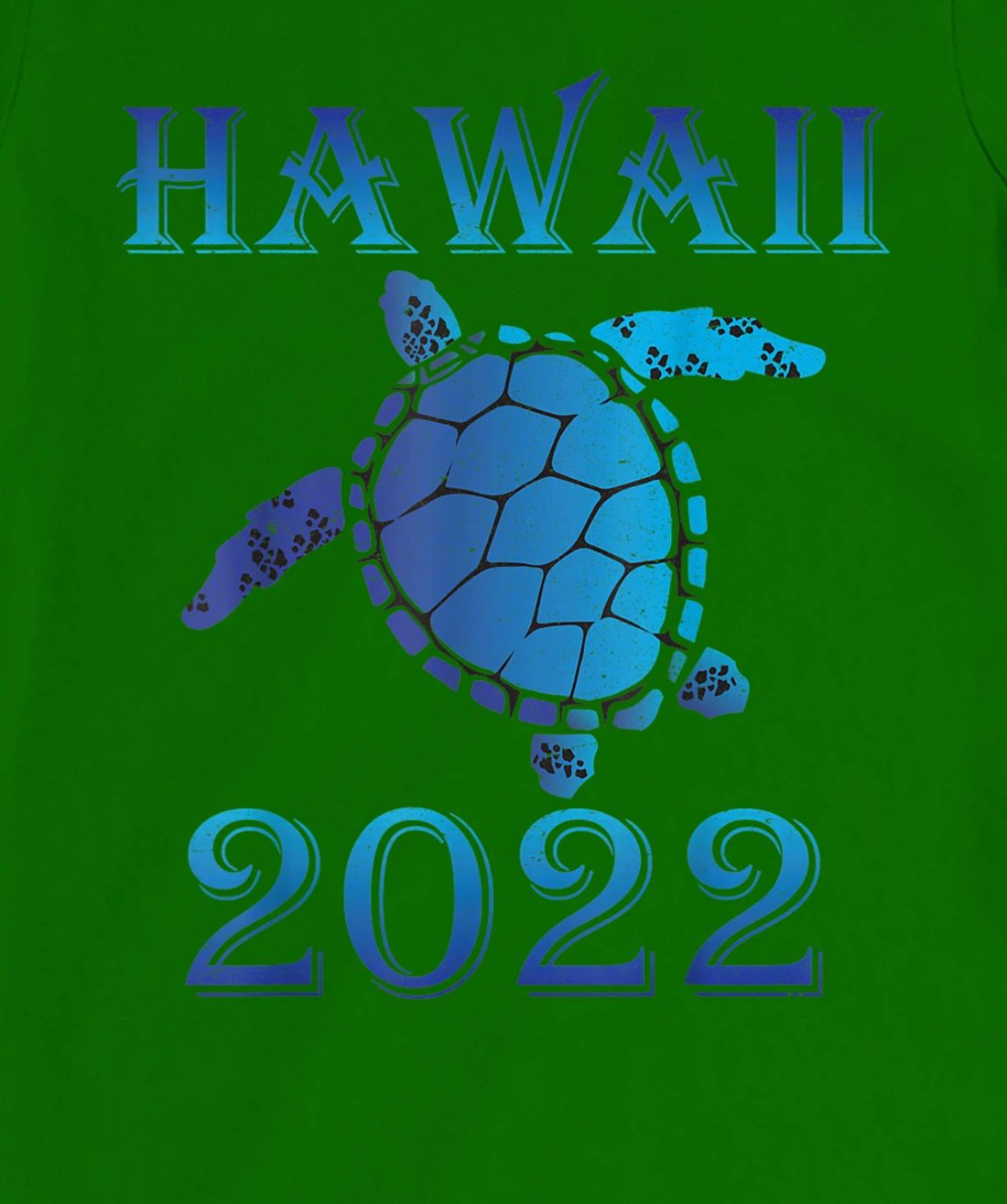 Womens Hawaii Spring Break 2022 Sea Turtle Family Vacation Souvenir T-Shirt, Kid T-Shirt and Women T-Shirt