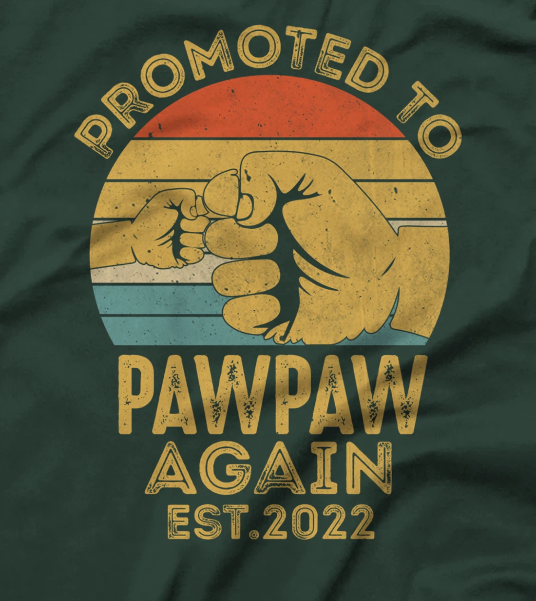 Promoted To Pawpaw Again 2022 Retro Vintage Funny Pawpaw T-Shirt