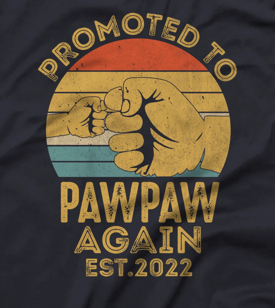 Promoted To Pawpaw Again 2022 Retro Vintage Funny Pawpaw T-Shirt