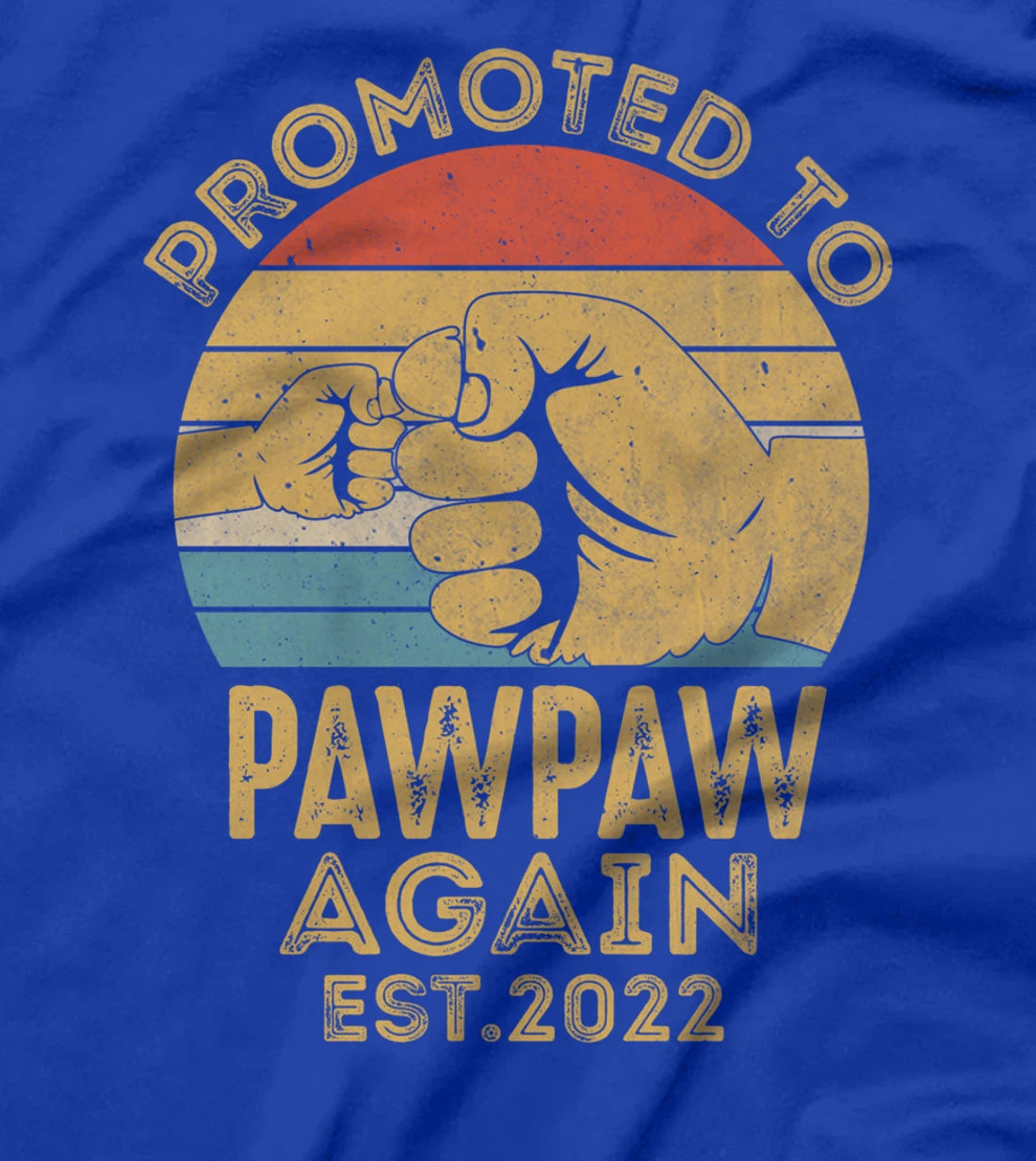 Promoted To Pawpaw Again 2022 Retro Vintage Funny Pawpaw T-Shirt