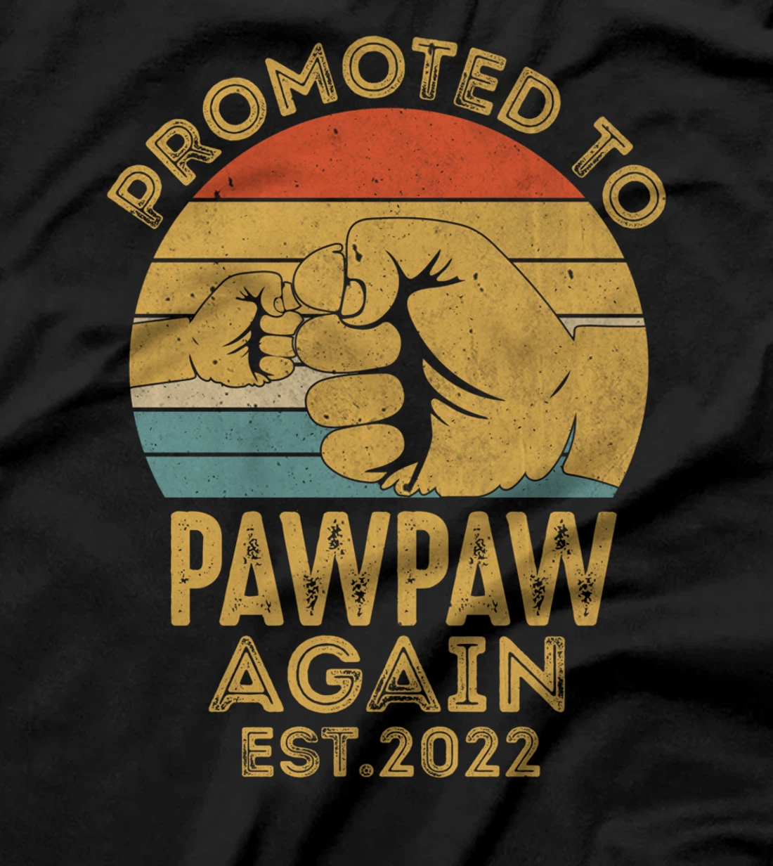 Promoted To Pawpaw Again 2022 Retro Vintage Funny Pawpaw T-Shirt