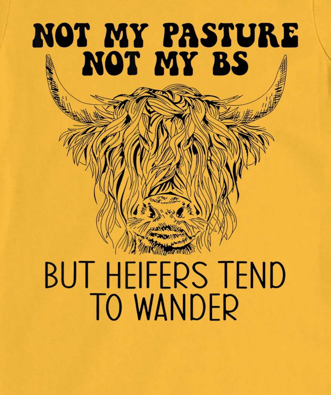 Cow Not My Pasture Not My BS But Heifers Tend To Wander T-Shirt, Women T-Shirt