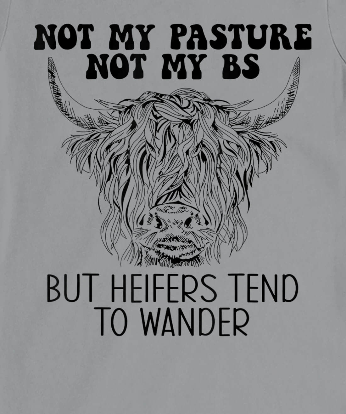 Cow Not My Pasture Not My BS But Heifers Tend To Wander T-Shirt, Women T-Shirt