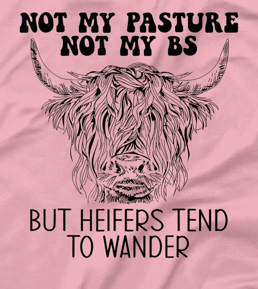 Cow Not My Pasture Not My BS But Heifers Tend To Wander T-Shirt, Women T-Shirt