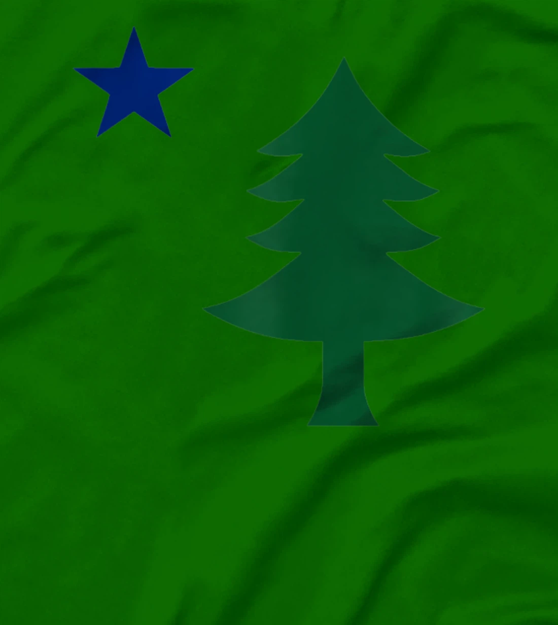 Womens 1901 Old First Flag of Maine Pine Tree and Star T-Shirt, Women T-Shirt