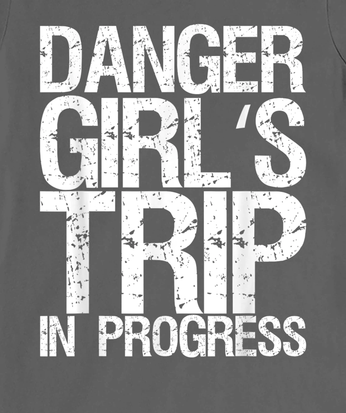 Danger Girl's Trip In Progress T-Shirt, Women T-Shirt