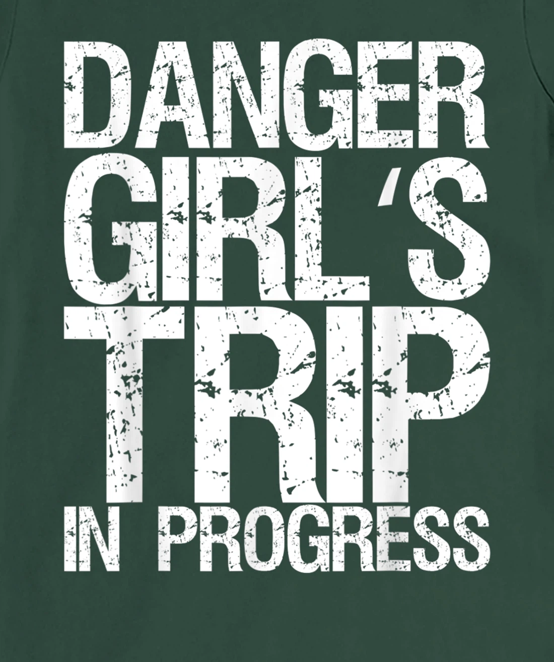 Danger Girl's Trip In Progress T-Shirt, Women T-Shirt