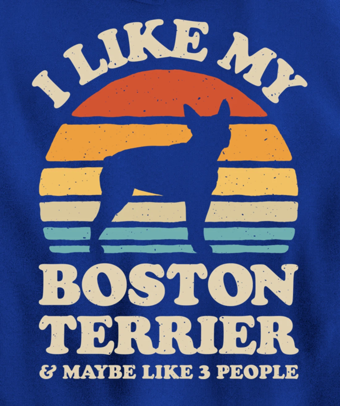 I Like My Boston Terrier And Maybe Like 3 People Dog Retro Pullover Hoodie