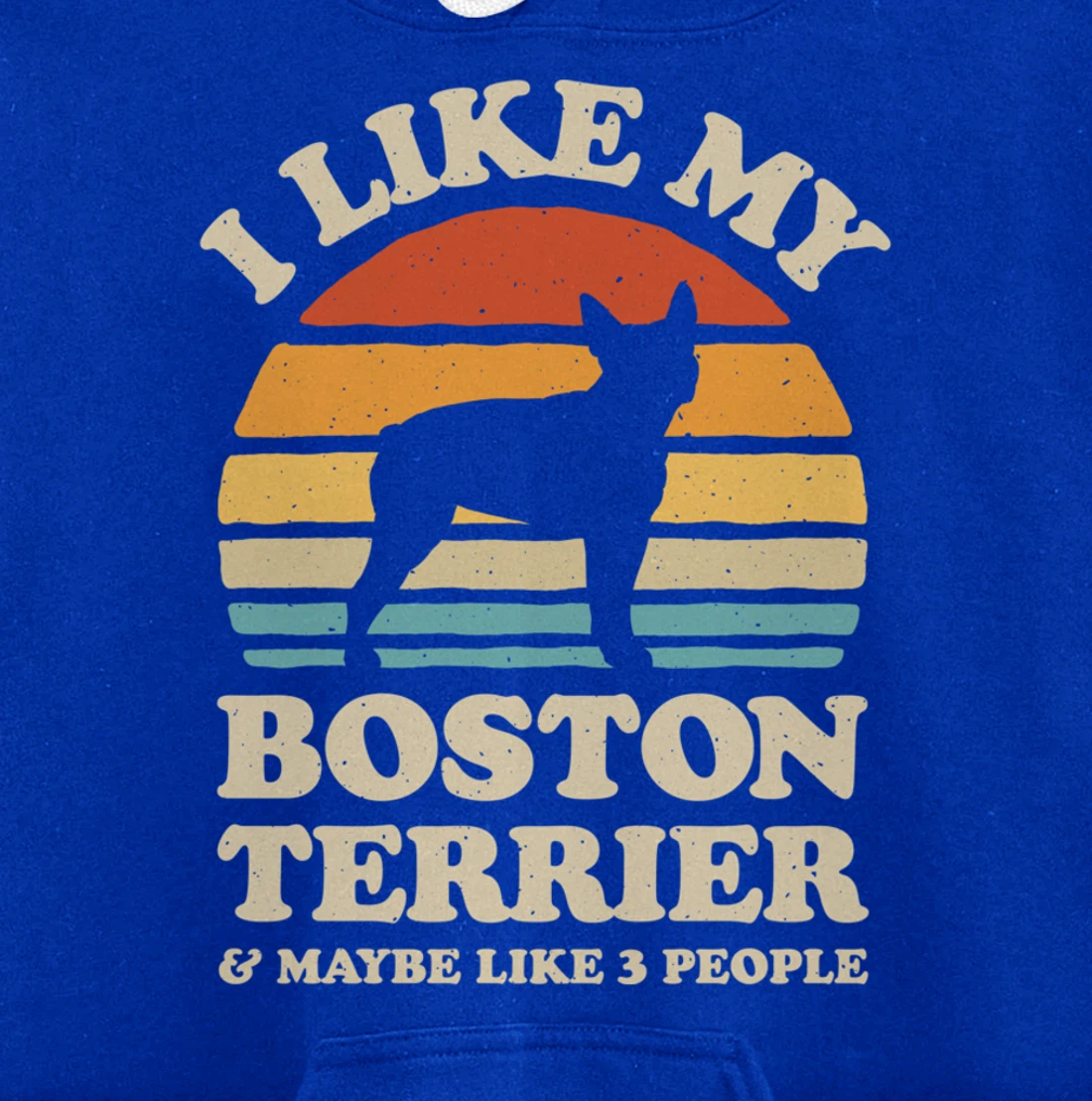 I Like My Boston Terrier And Maybe Like 3 People Dog Retro Pullover Hoodie