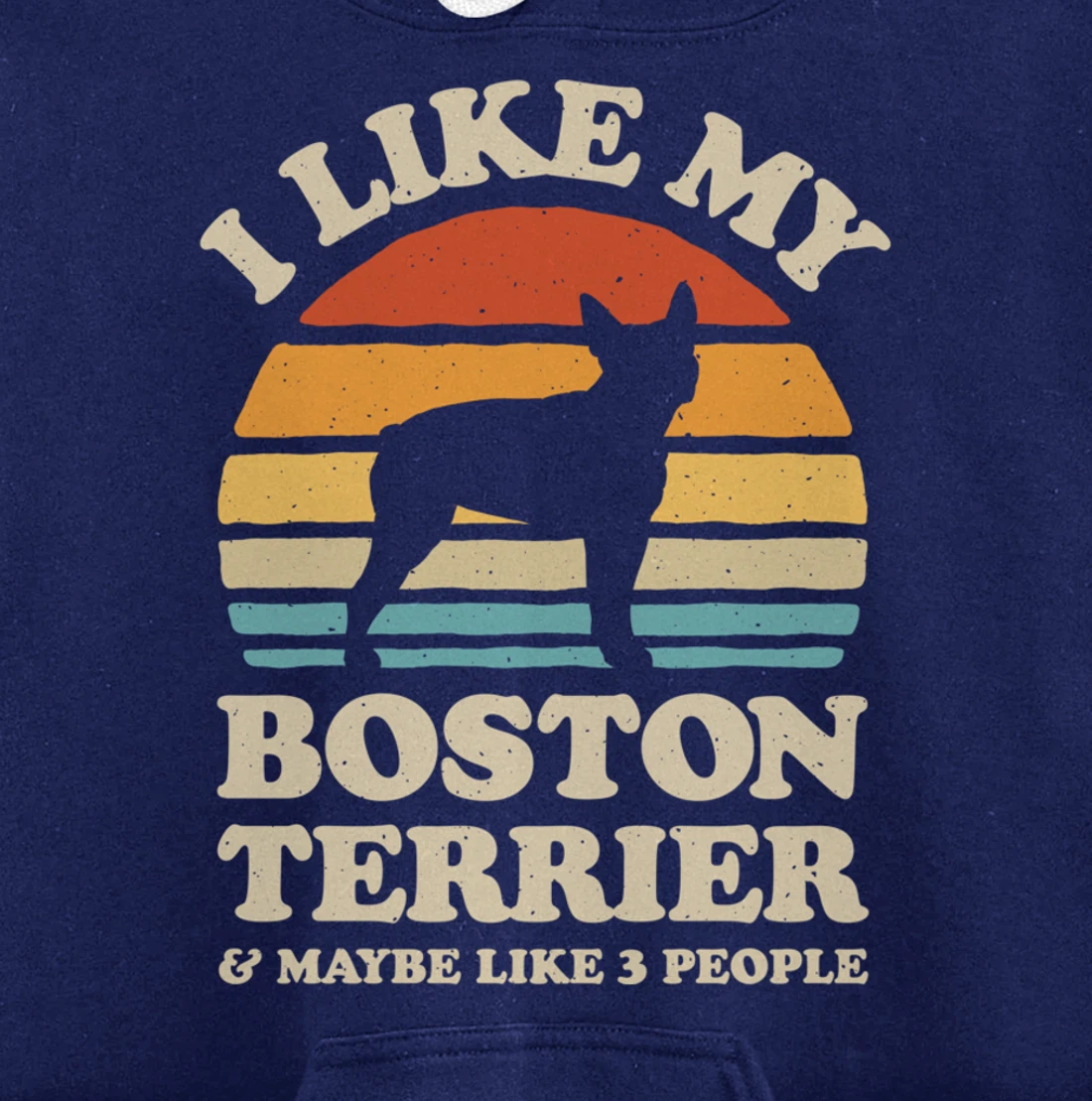 I Like My Boston Terrier And Maybe Like 3 People Dog Retro Pullover Hoodie