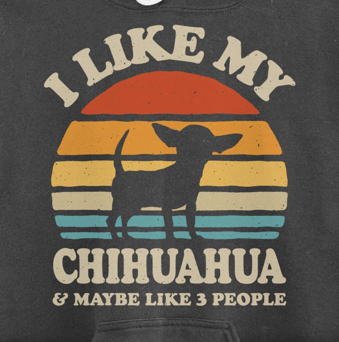 I Like My Chihuahua And Maybe Like 3 People Dog Lover Retro Pullover Hoodie