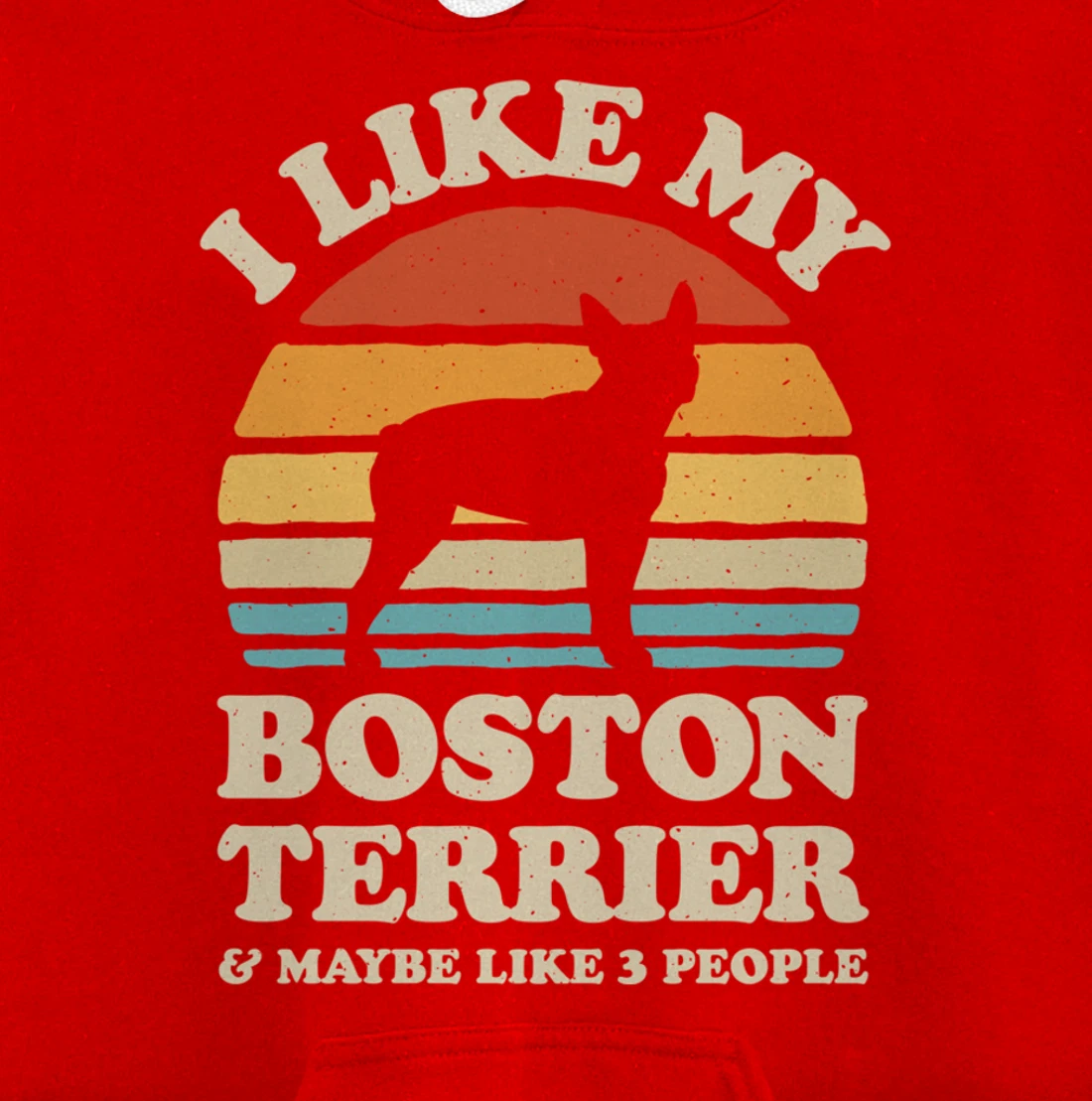 I Like My Boston Terrier And Maybe Like 3 People Dog Retro Pullover Hoodie