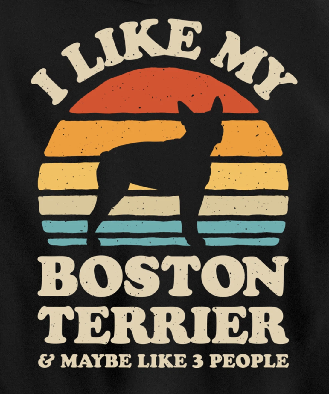 I Like My Boston Terrier And Maybe Like 3 People Dog Retro Pullover Hoodie